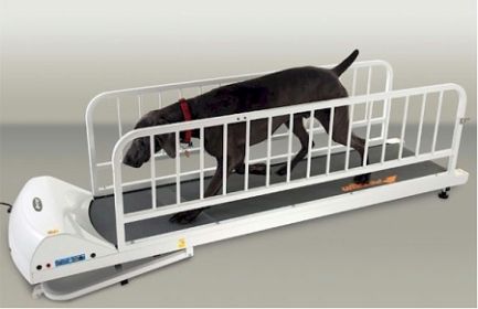 PetRun PR725 Dog Treadmill