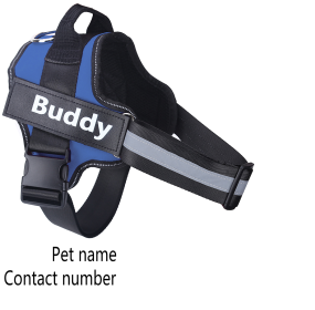 Dog Harness No Pull Reflective Breathable Adjustable Pet (Option: Blue-2XL)